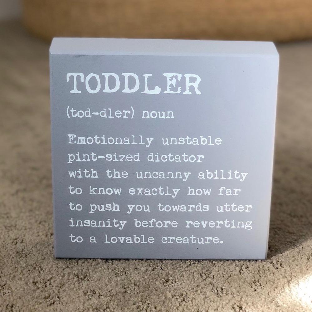 Definition of a toddler - funny wood sign